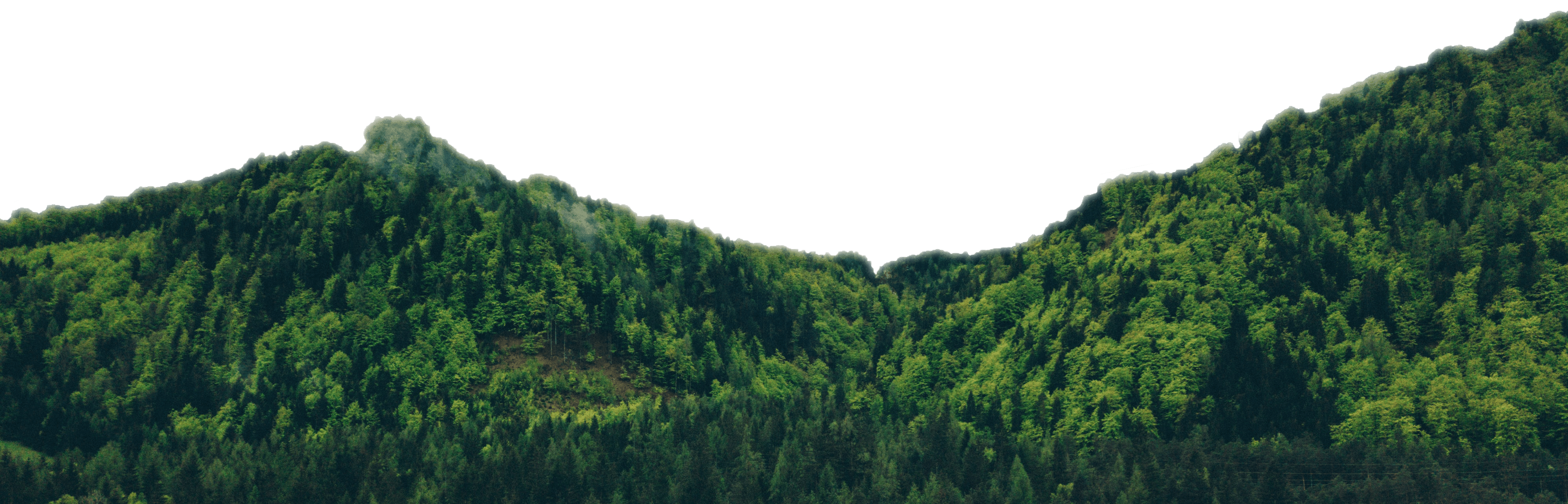 wald